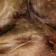 Image for article titled One Man’s Quest To Bring Back Killing Floor’s Nipple Rings